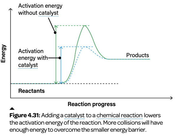 Textbook Figure 4.31: an energy profile diagram showing that adding a catalyst lowers the activation energy barrier, with reactants on the left and products on the right.