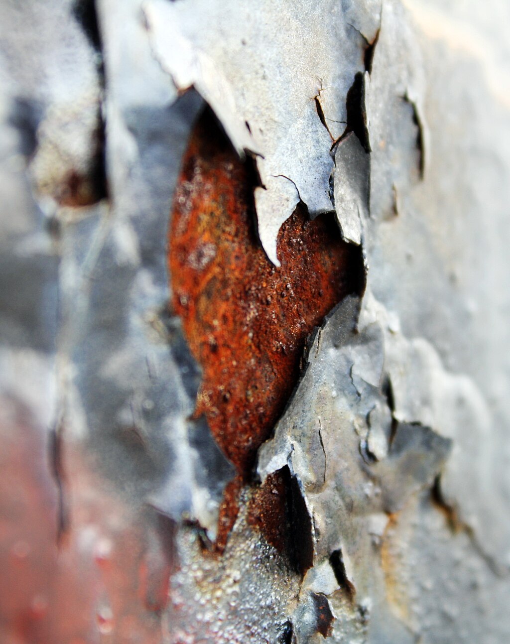 Close-up of rusty metal with flaking paint, showing reddish-orange iron oxide.